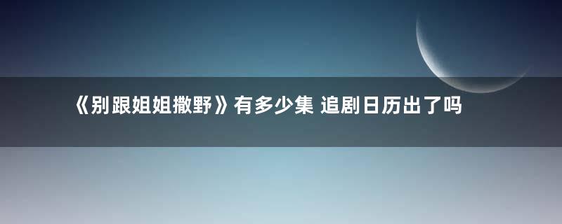 《别跟姐姐撒野》有多少集 追剧日历出了吗